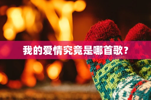 我的爱情究竟是哪首歌？