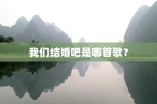 我们结婚吧是哪首歌？