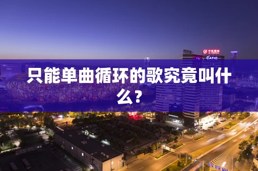 只能单曲循环的歌究竟叫什么？