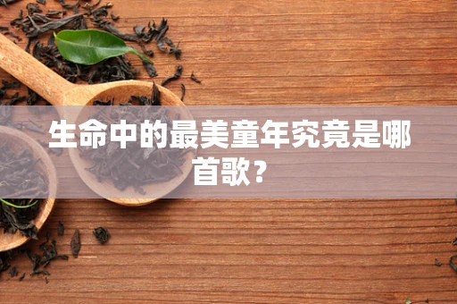 生命中的最美童年究竟是哪首歌？