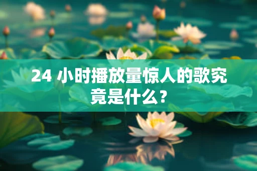 24 小时播放量惊人的歌究竟是什么？