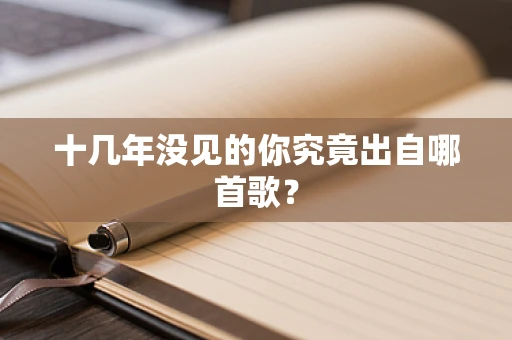 十几年没见的你究竟出自哪首歌？