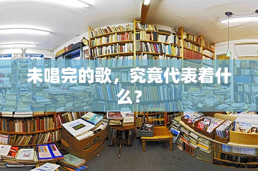 未唱完的歌，究竟代表着什么？