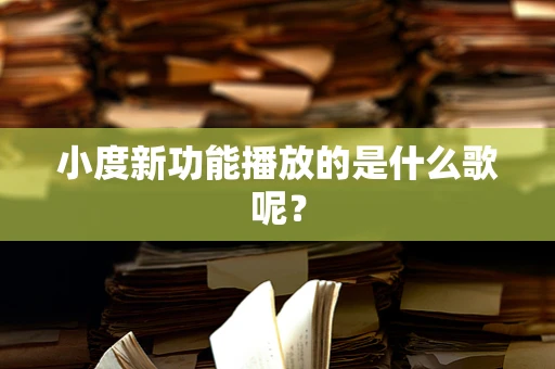 小度新功能播放的是什么歌呢？
