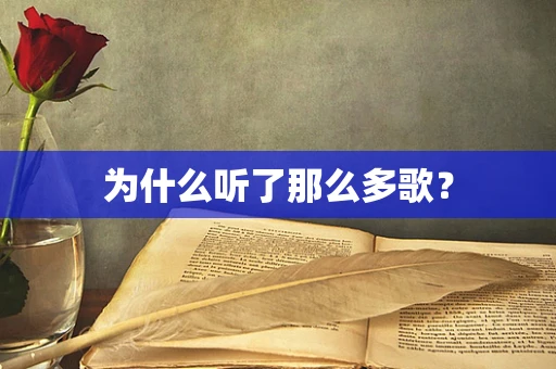 为什么听了那么多歌？