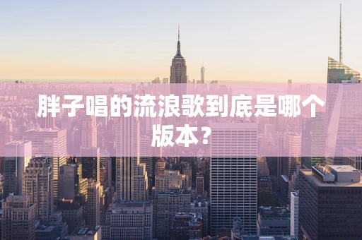 胖子唱的流浪歌到底是哪个版本？