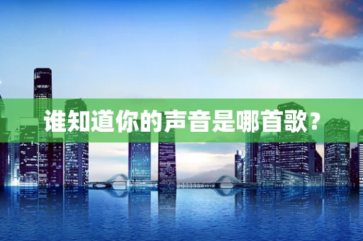 谁知道你的声音是哪首歌？