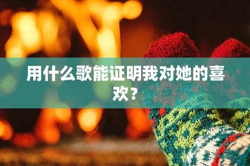 用什么歌能证明我对她的喜欢？