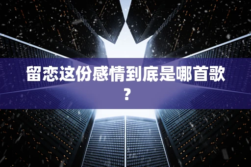 留恋这份感情到底是哪首歌？