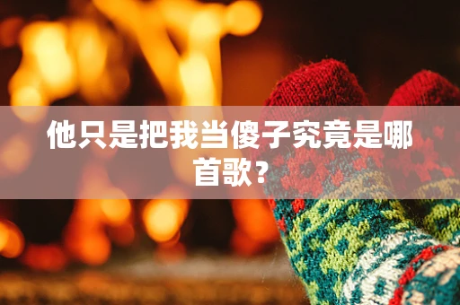 他只是把我当傻子究竟是哪首歌？