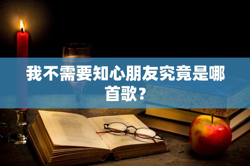 我不需要知心朋友究竟是哪首歌？