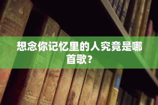 想念你记忆里的人究竟是哪首歌？