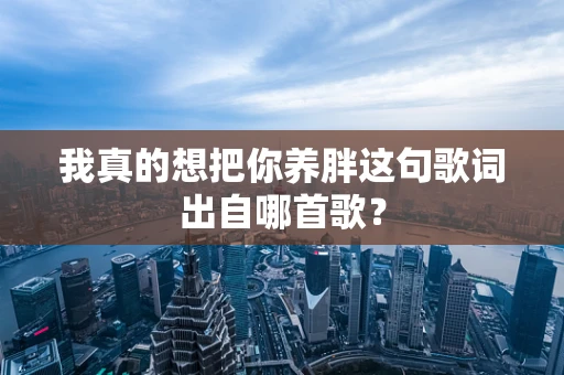 我真的想把你养胖这句歌词出自哪首歌？
