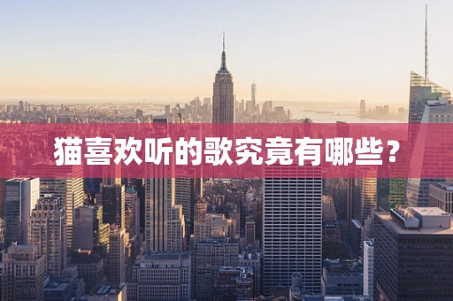 猫喜欢听的歌究竟有哪些？