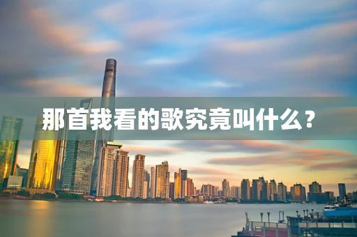 那首我看的歌究竟叫什么？