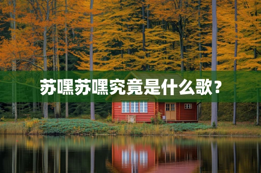 苏嘿苏嘿究竟是什么歌？
