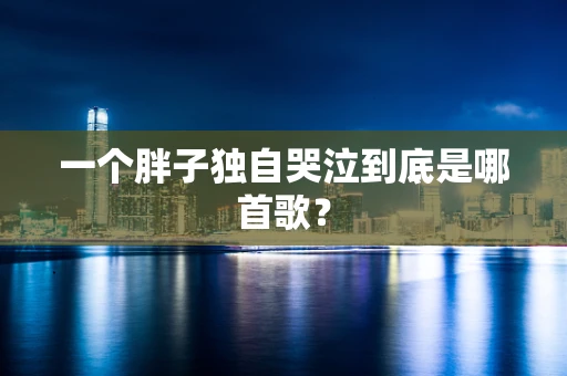 一个胖子独自哭泣到底是哪首歌？