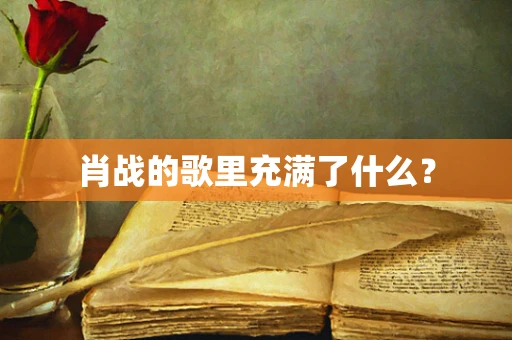 肖战的歌里充满了什么？