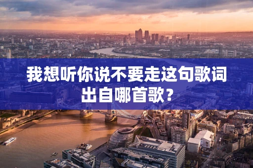 我想听你说不要走这句歌词出自哪首歌？