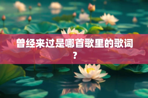 曾经来过是哪首歌里的歌词？