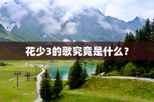花少3的歌究竟是什么？