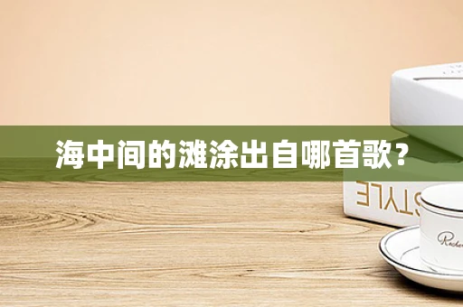海中间的滩涂出自哪首歌？