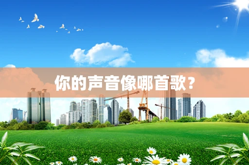 你的声音像哪首歌？