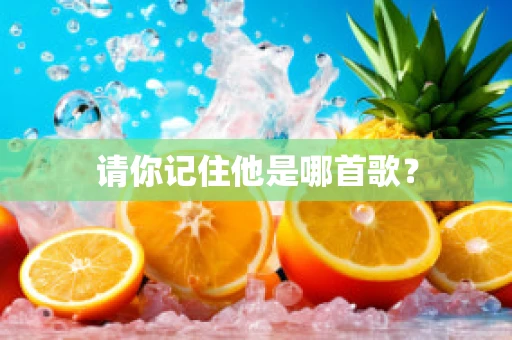 请你记住他是哪首歌？