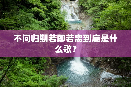 不问归期若即若离到底是什么歌？