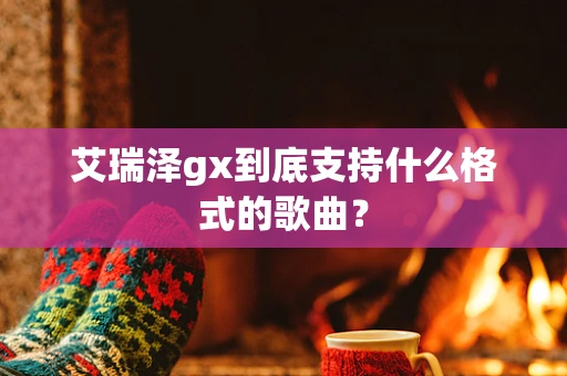 艾瑞泽gx到底支持什么格式的歌曲？