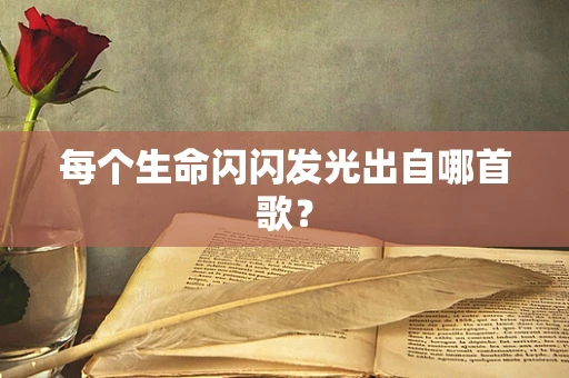 每个生命闪闪发光出自哪首歌？