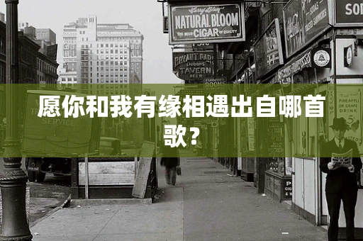 愿你和我有缘相遇出自哪首歌？