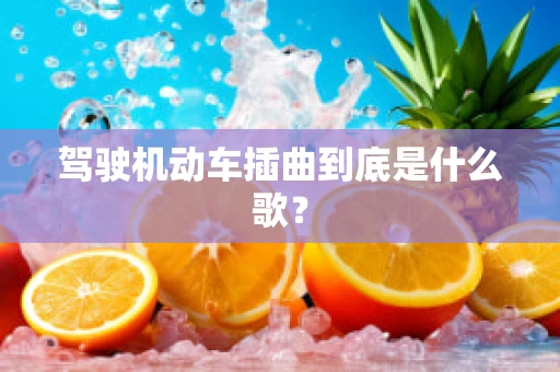 驾驶机动车插曲到底是什么歌？