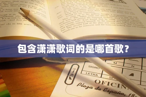 包含潇潇歌词的是哪首歌？