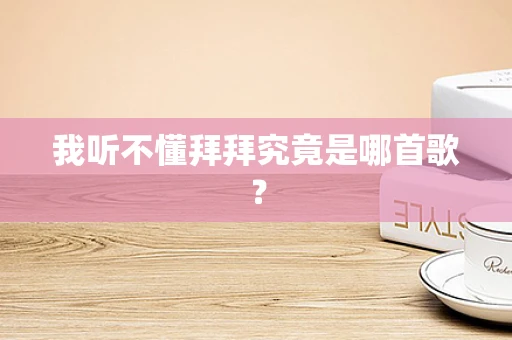 我听不懂拜拜究竟是哪首歌？