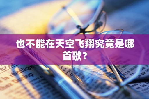 也不能在天空飞翔究竟是哪首歌？