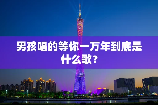 男孩唱的等你一万年到底是什么歌？