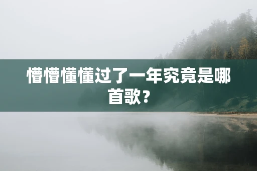 懵懵懂懂过了一年究竟是哪首歌？