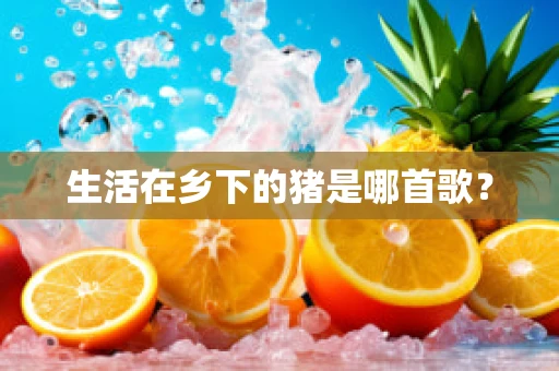 生活在乡下的猪是哪首歌？