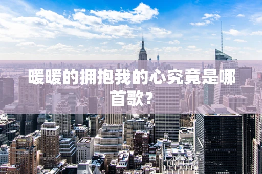 暖暖的拥抱我的心究竟是哪首歌？
