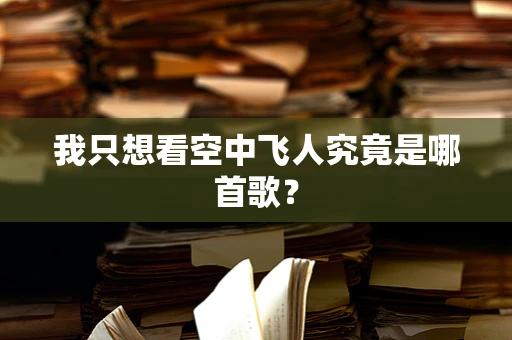 我只想看空中飞人究竟是哪首歌？