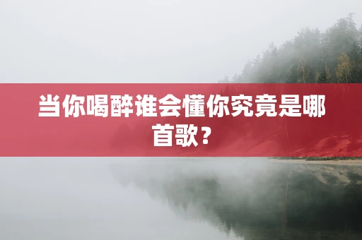 当你喝醉谁会懂你究竟是哪首歌？