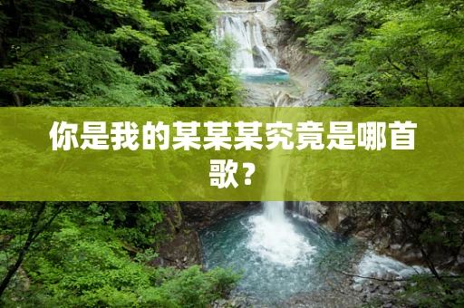 你是我的某某某究竟是哪首歌？