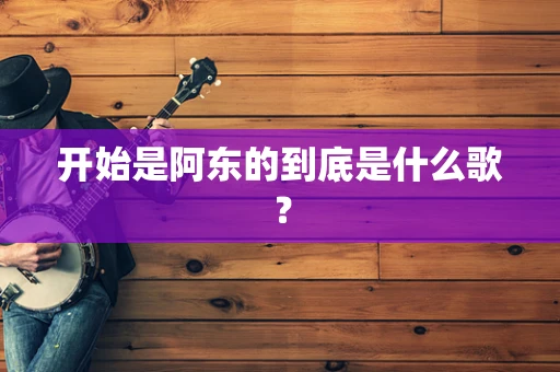 开始是阿东的到底是什么歌？