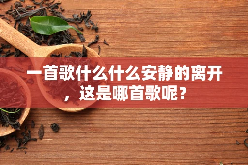 一首歌什么什么安静的离开，这是哪首歌呢？