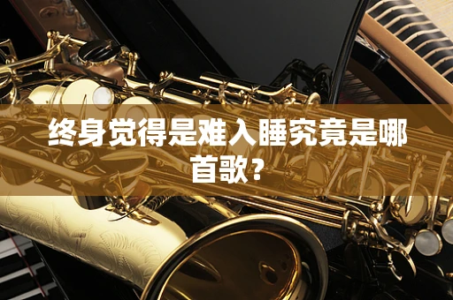 终身觉得是难入睡究竟是哪首歌？