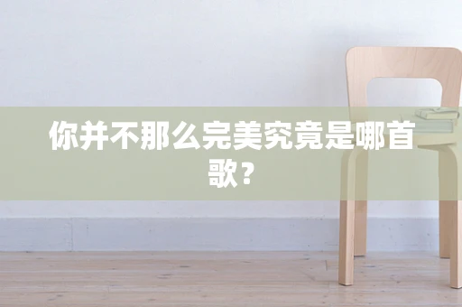 你并不那么完美究竟是哪首歌？