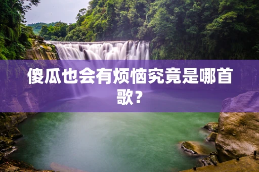傻瓜也会有烦恼究竟是哪首歌？