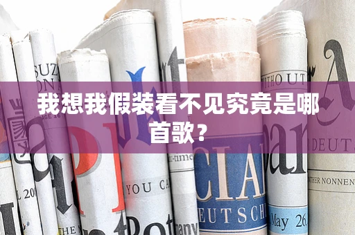 我想我假装看不见究竟是哪首歌？