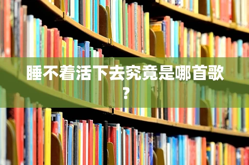睡不着活下去究竟是哪首歌？